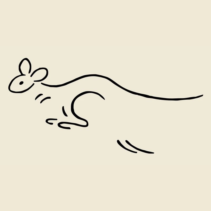 Kangaroo