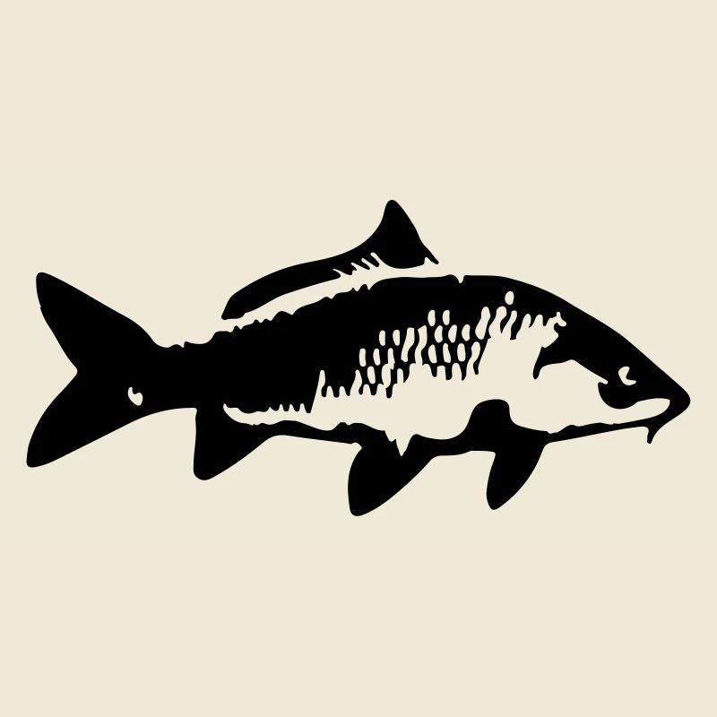 carp fish