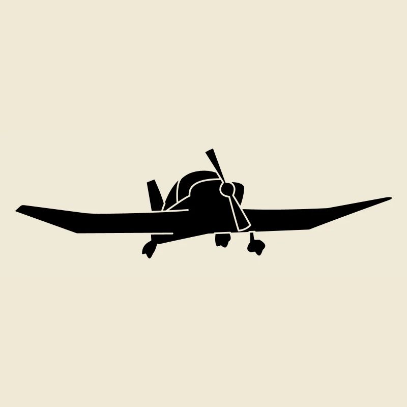 DR400 Robin Flugzeug Geschenk