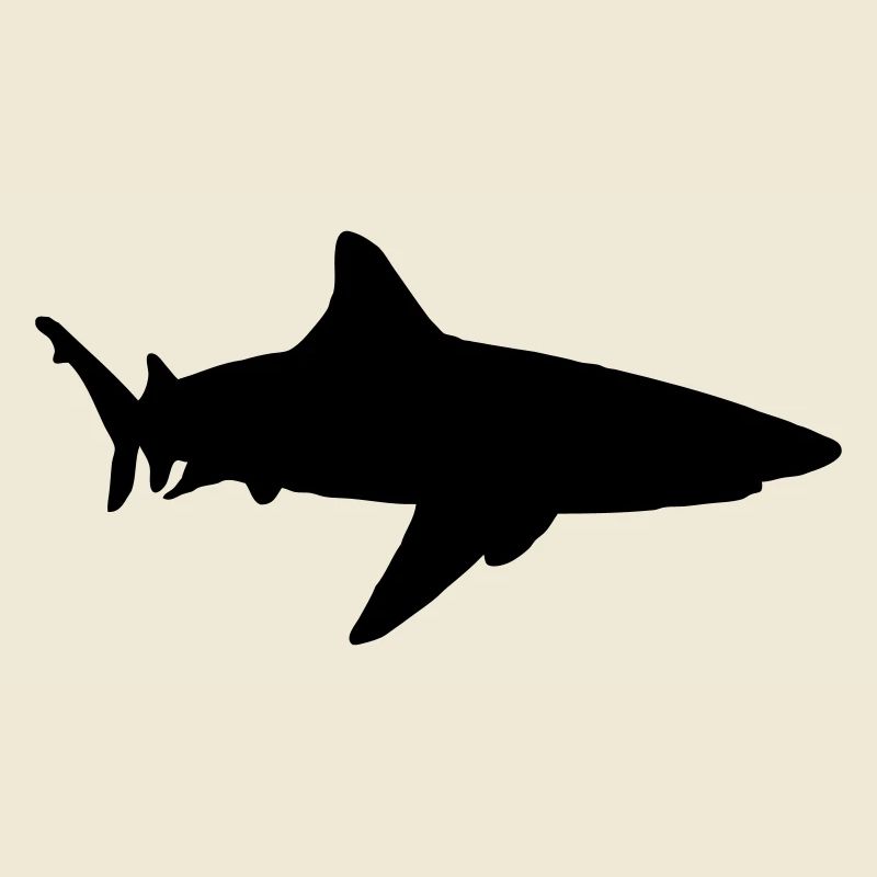shark animal