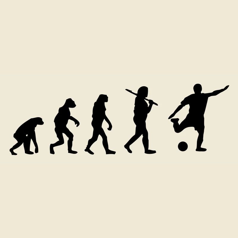 Evolution Fussball