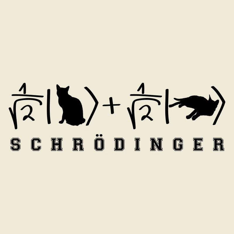 Chat de Schrödinger