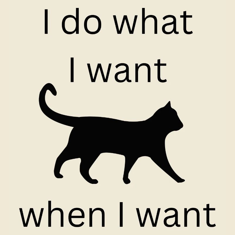 lustiger Katzenspruch