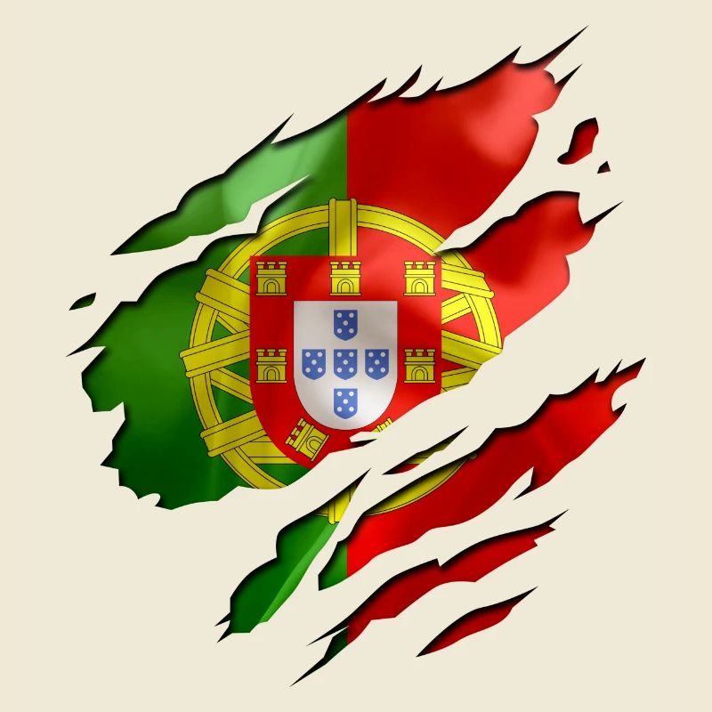flag fodbold portugal