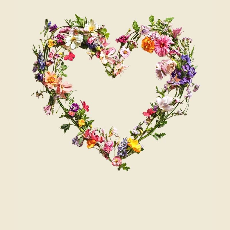 Cœur de fleurs délicates Fleurs printanières