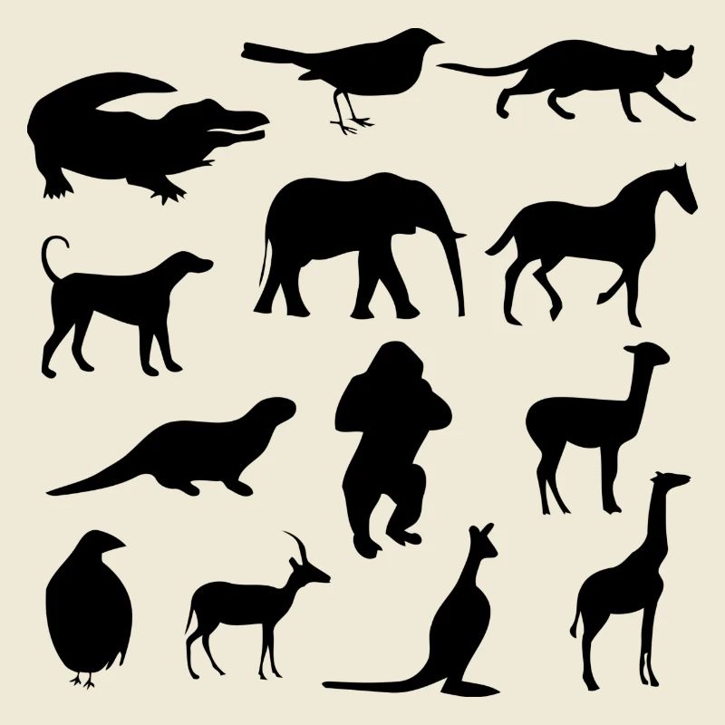 Wild animals