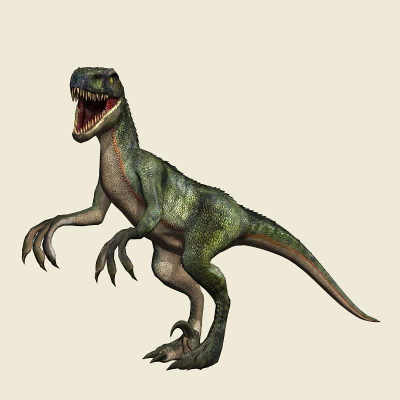 Velociraptor Dinosaurier 4