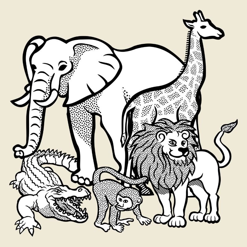 zoo