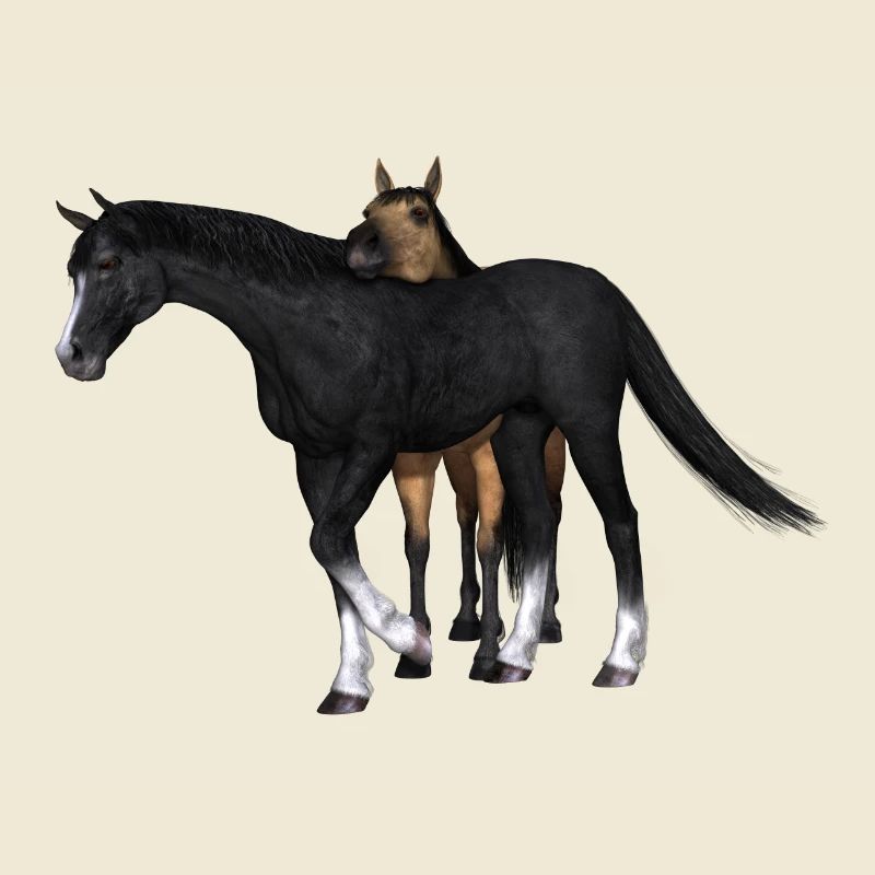 Cheval