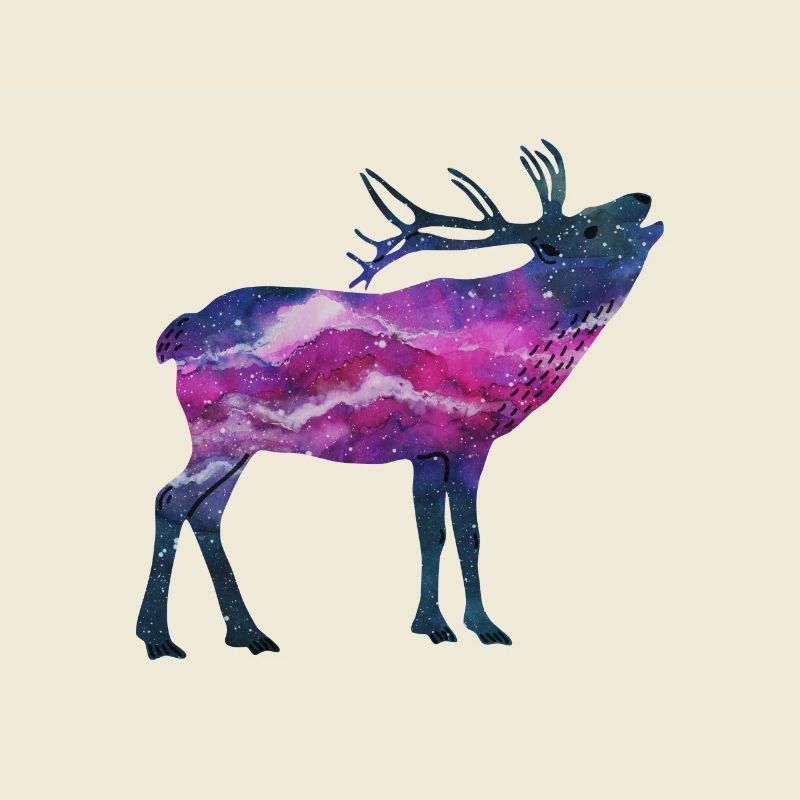 Space Hirsch