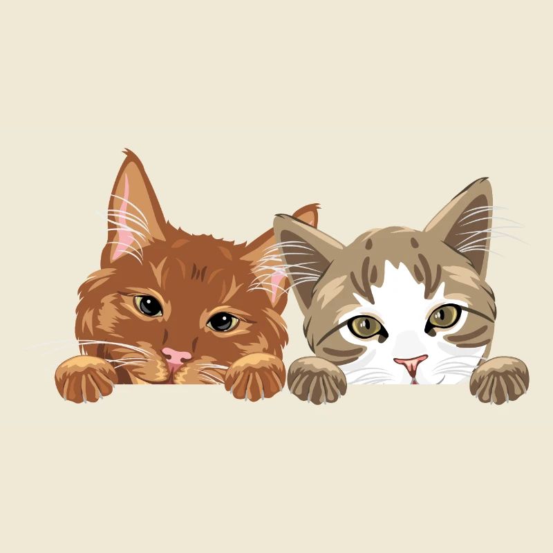 Jeter un coup d’œil mignon deux chats