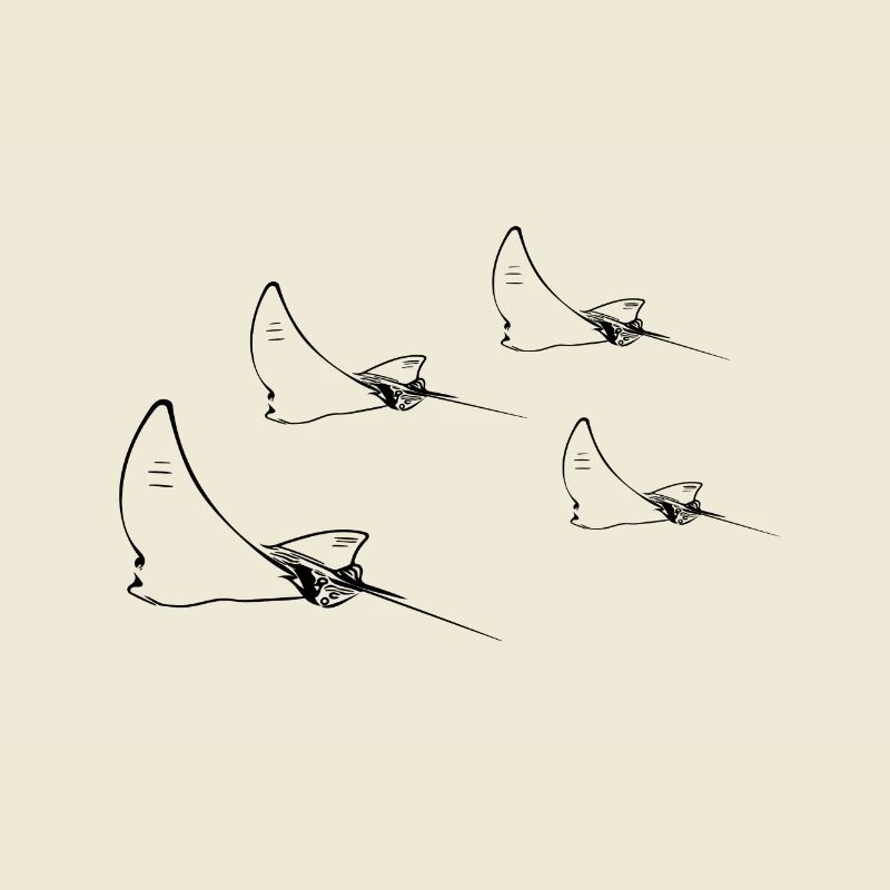 Formation de vol Eagle Ray