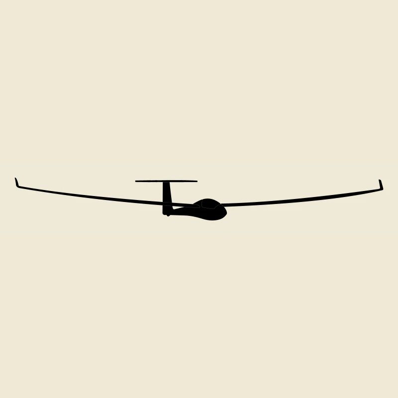 soaring pilot