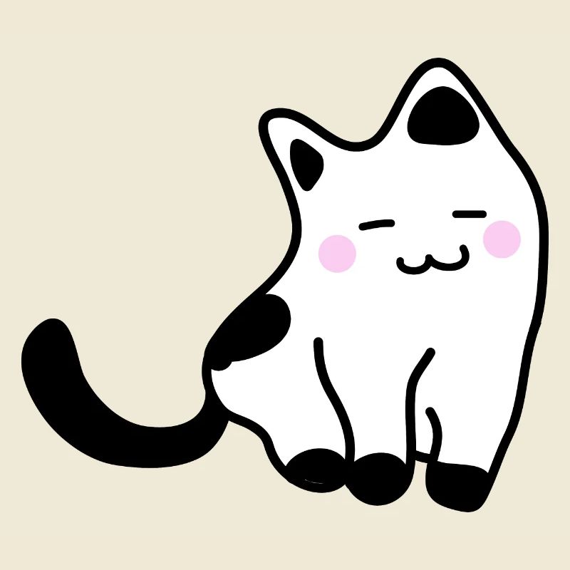 Chaton blanc