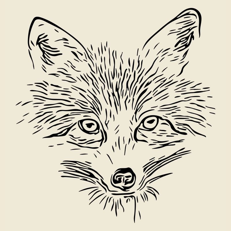 Visage de renard - Visage de renard