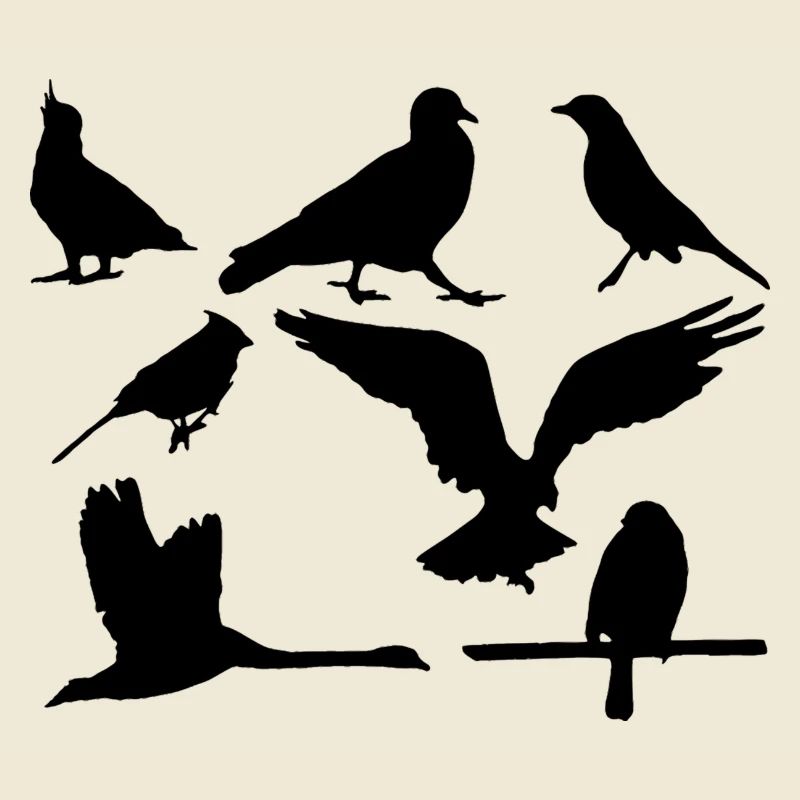 oiseaux