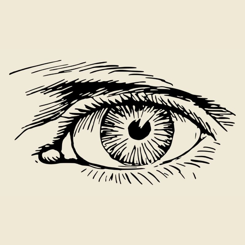 eye