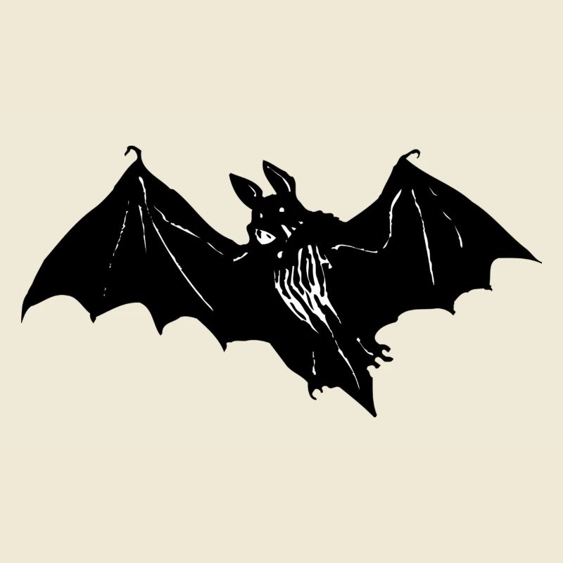 chauve-souris
