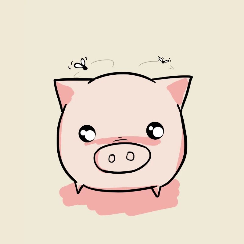 Pig piglets