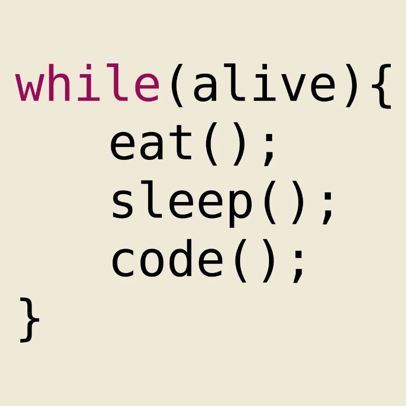 Funny code source code