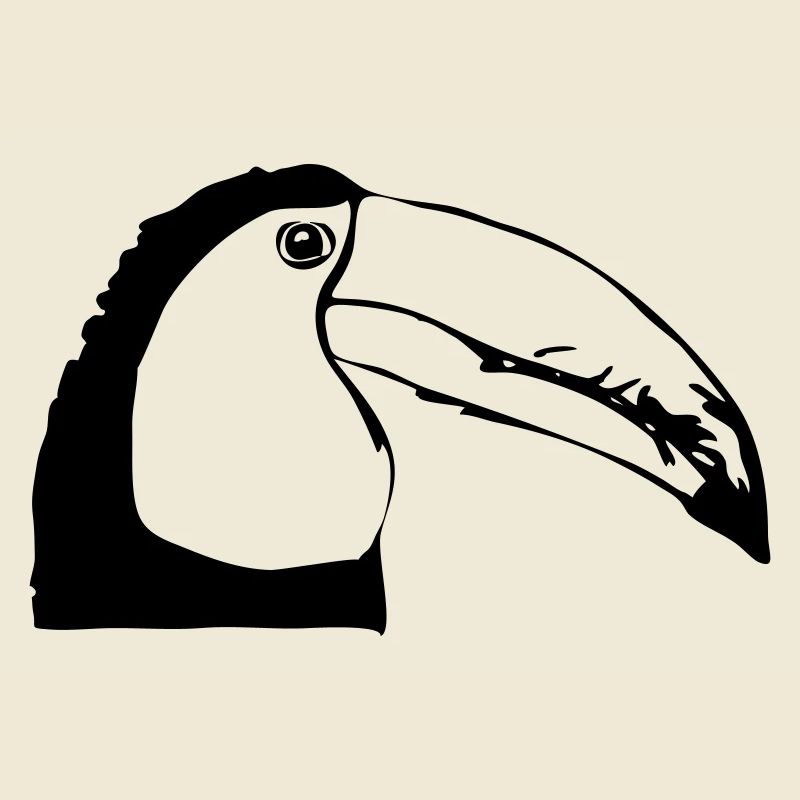 Toucan de profil