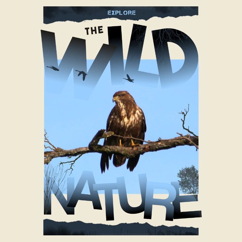 wild nature nature wilderness