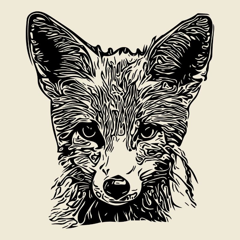 Niedliche Junger Fuchs Zeichnung