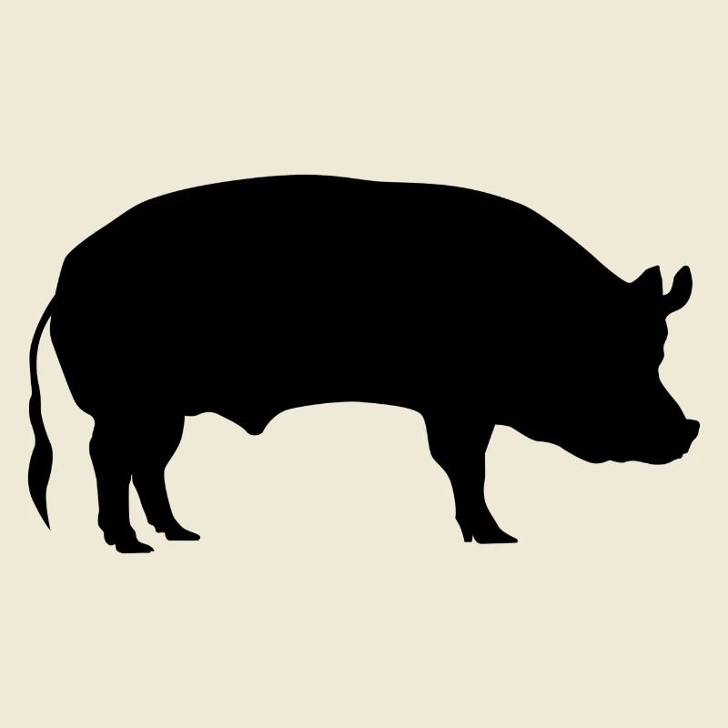 Schwein / Sau