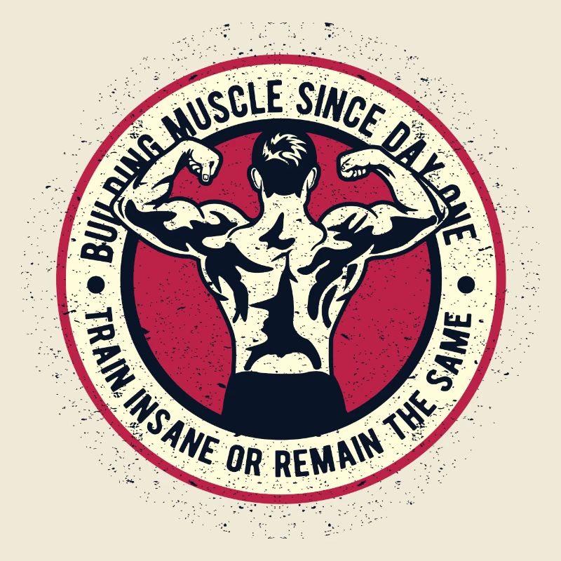 Muscle de construction