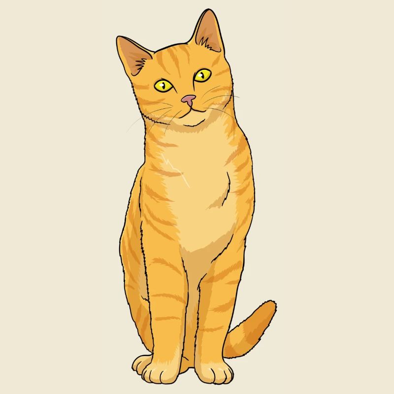 Cat Ginger