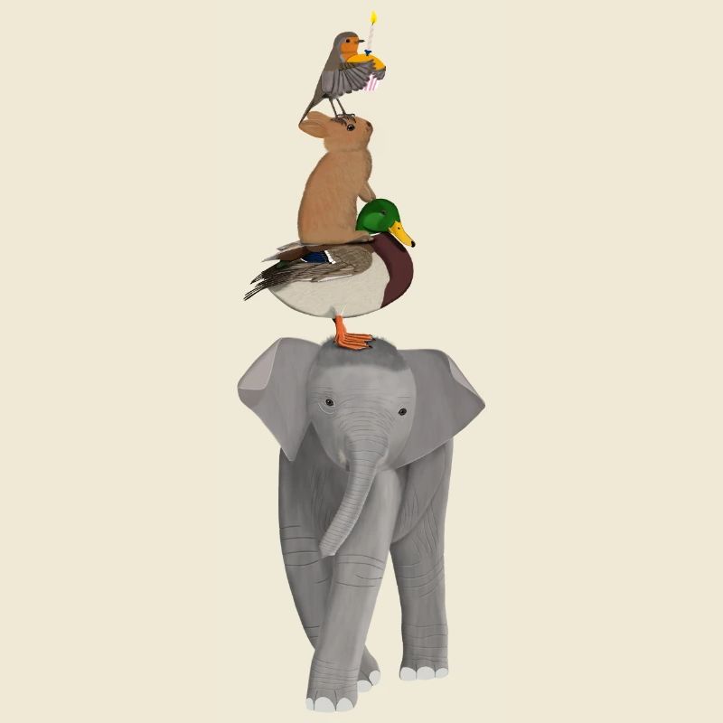 Elephant Duck Rabbit Robin Funny Animals