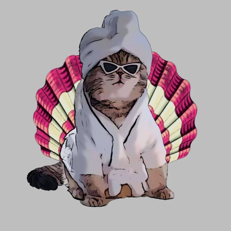 chat cool dans le spa