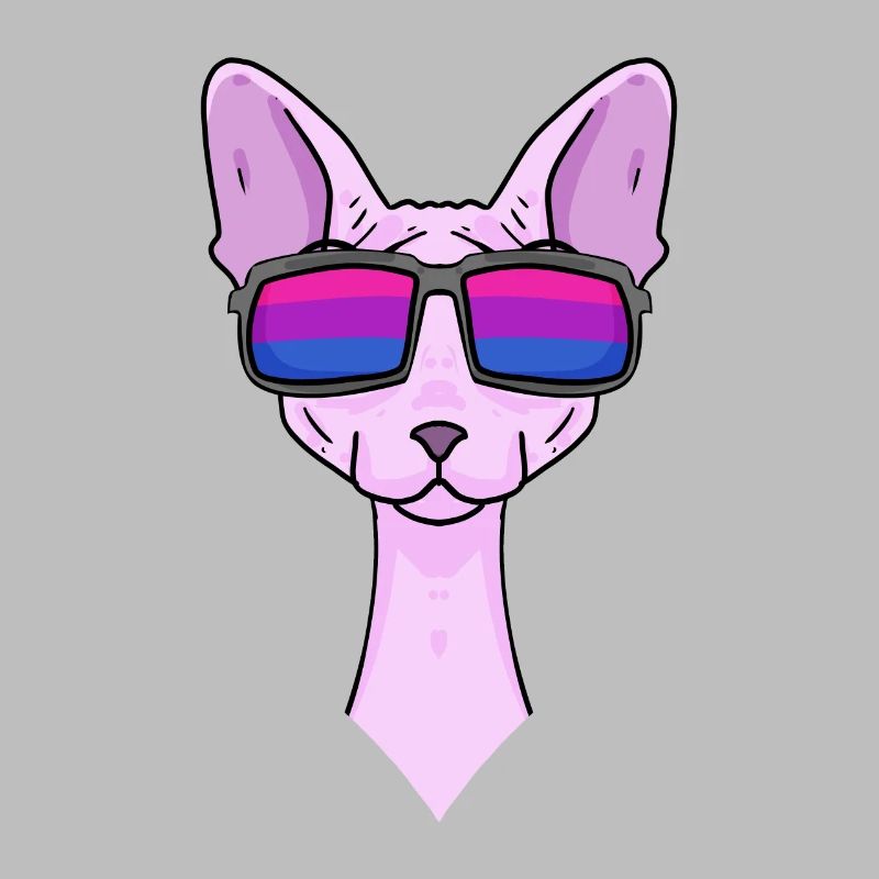 Bisexual Sphynx Cat Gift