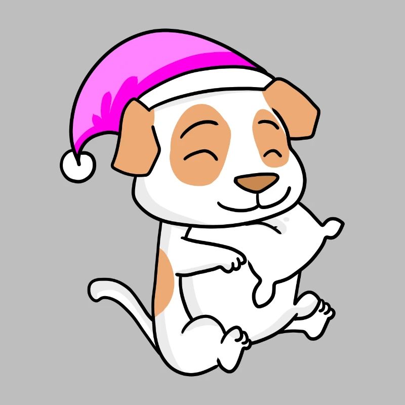Hund Hunderasse Jack Russell Terrier