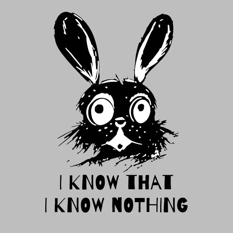 I know that I don't know anything - Wise Rabbit