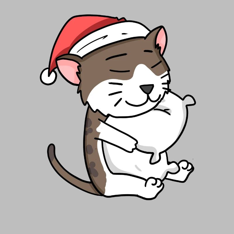 Chat Mignon Chat Birman Fatigué Noël
