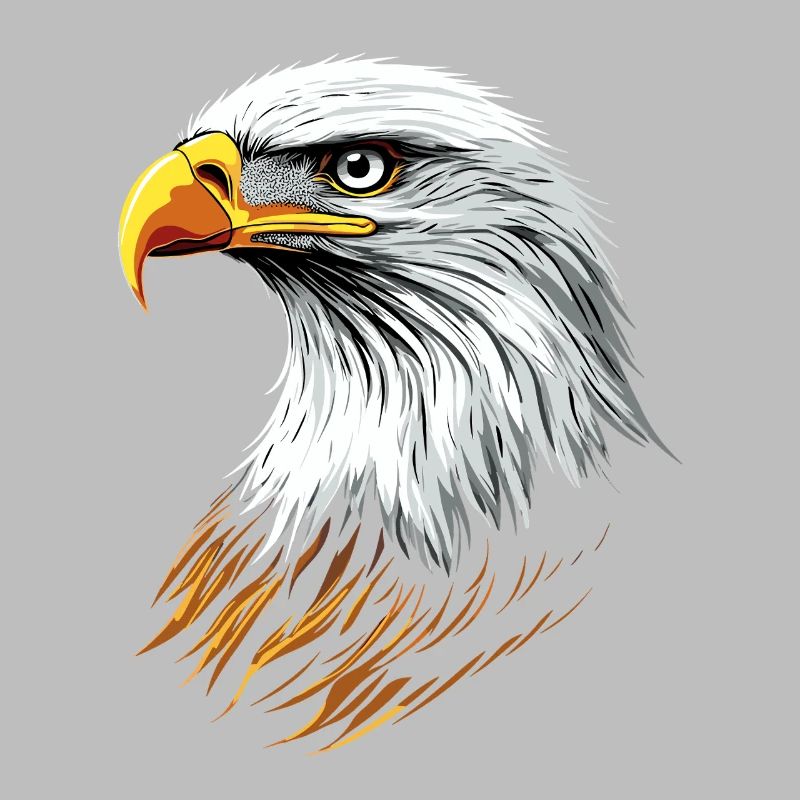 Eagle Bald Eagle Golden Eagle White-tailed Eagle