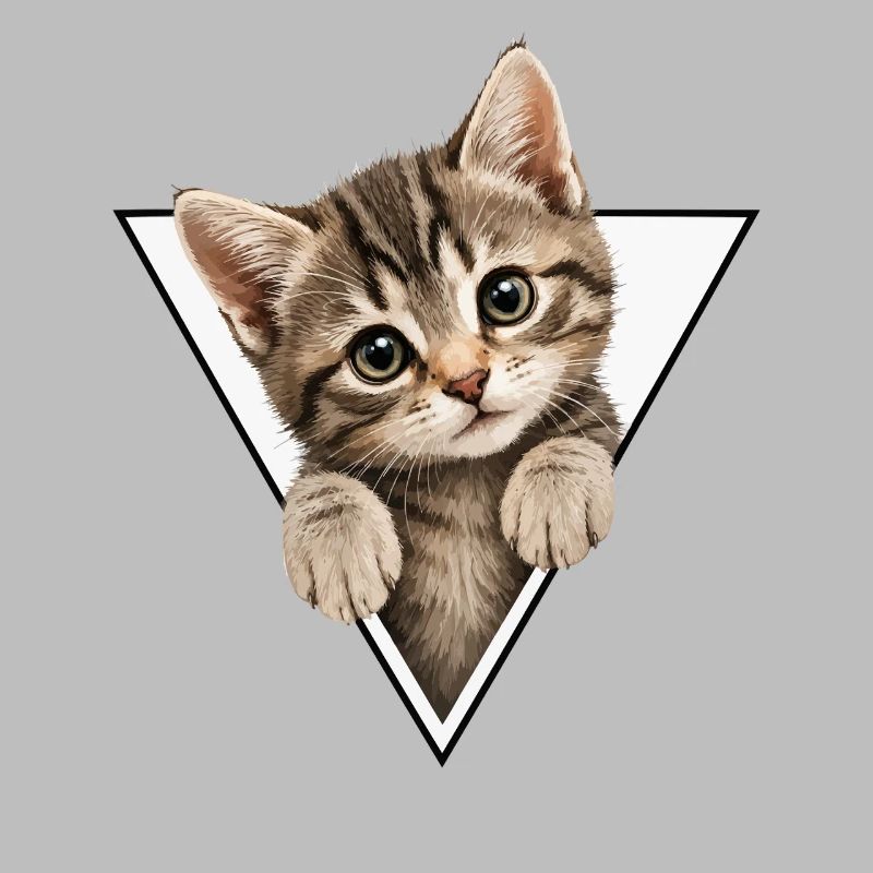 Chaton dans le triangle