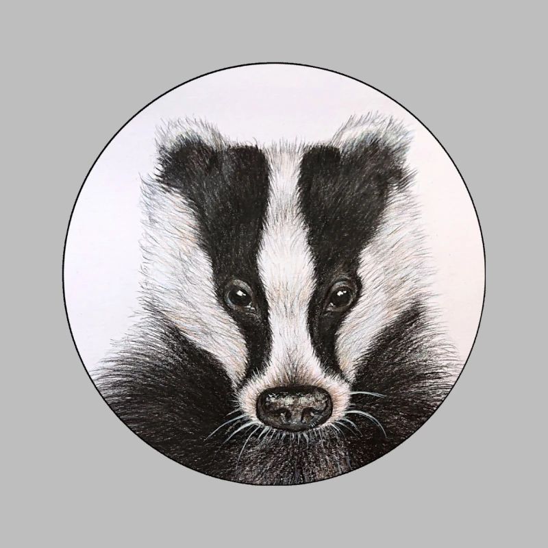Badger /Badger