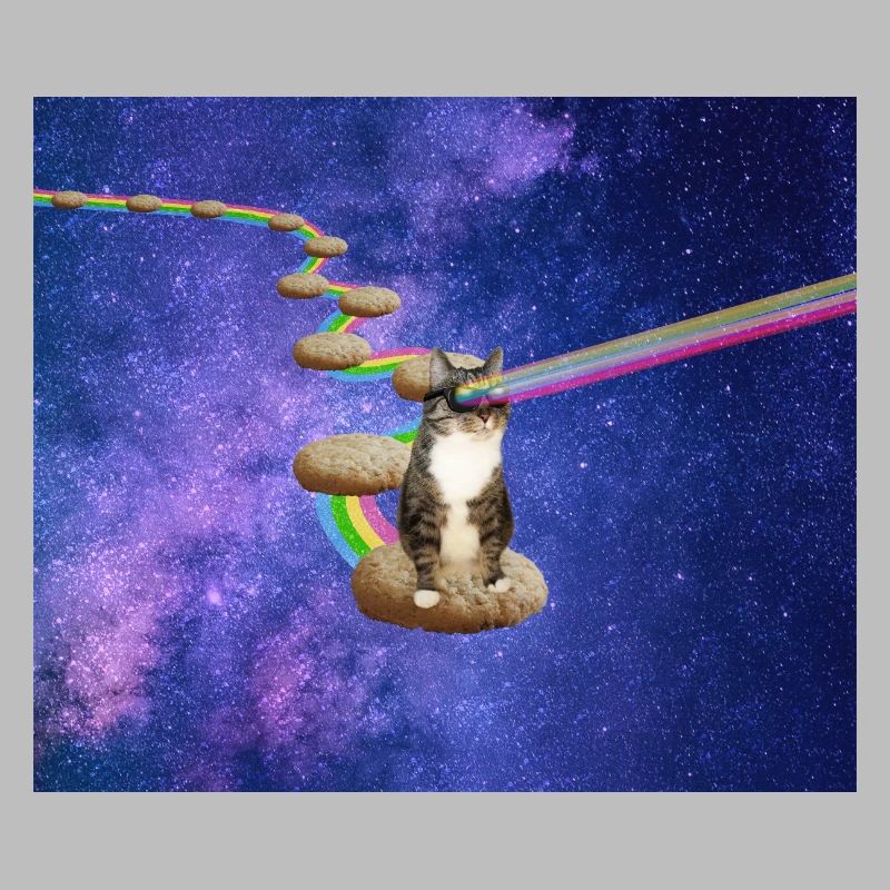 Mignon chat tigré dans l’espace