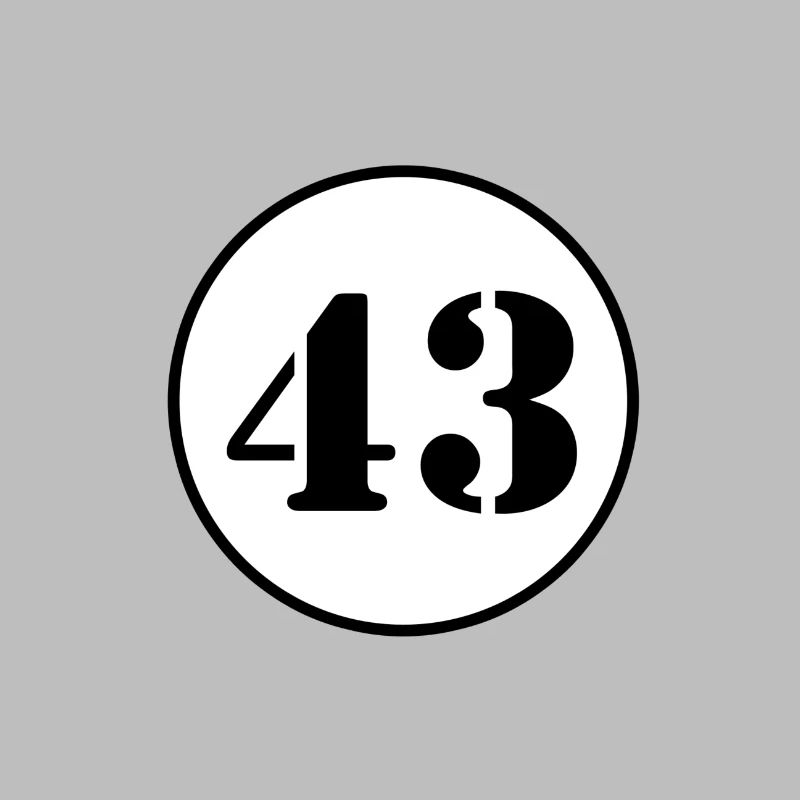 NUMMER 43 Dreiundvierzig Geburtstag Geschenk