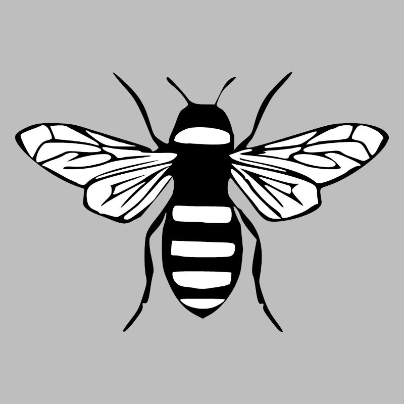 Bee Honey Bee Beekeeper Gift