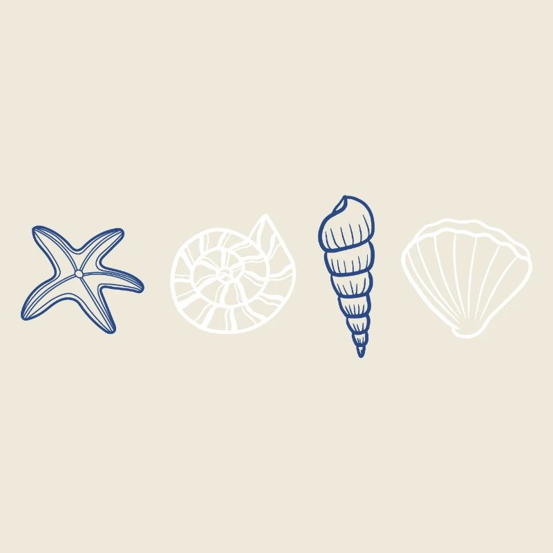 Shells - marine animal