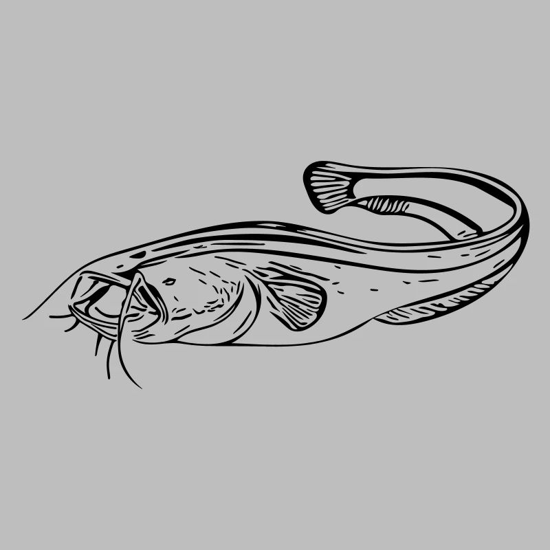 Catfish - angler
