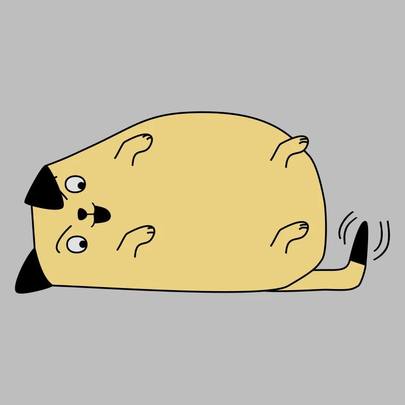 Chien regarde sa queue