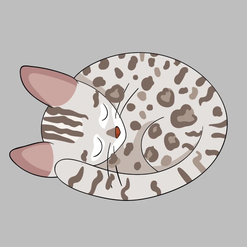 Chat de Bengale Chat