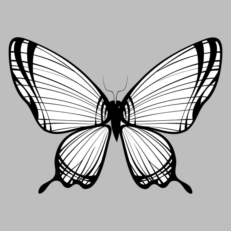Schmetterling