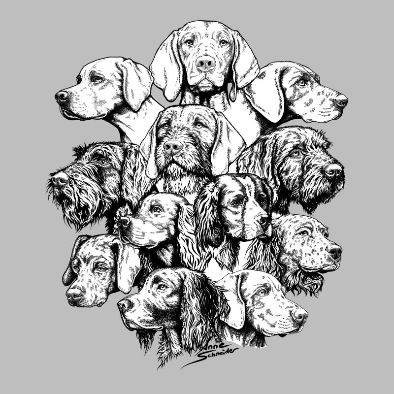 Chiens pointant des objets cachés