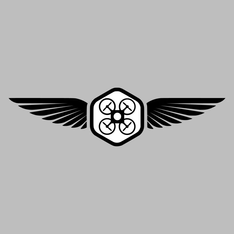 UAV PILOT