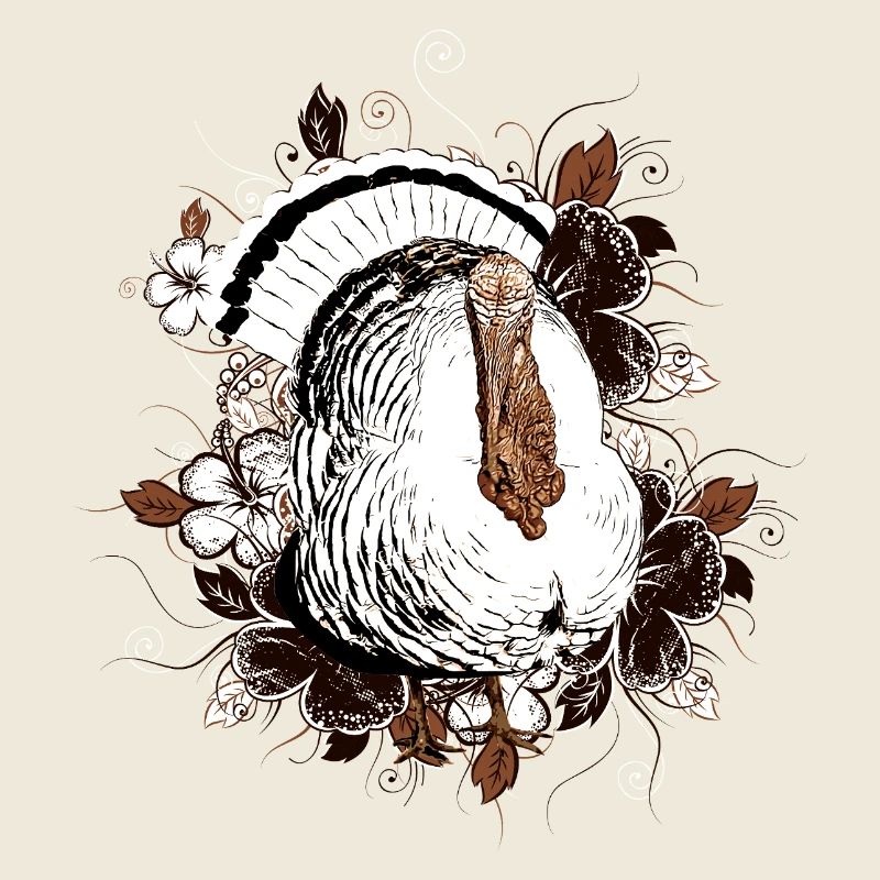 Dinde - Dinde - Thanksgiving